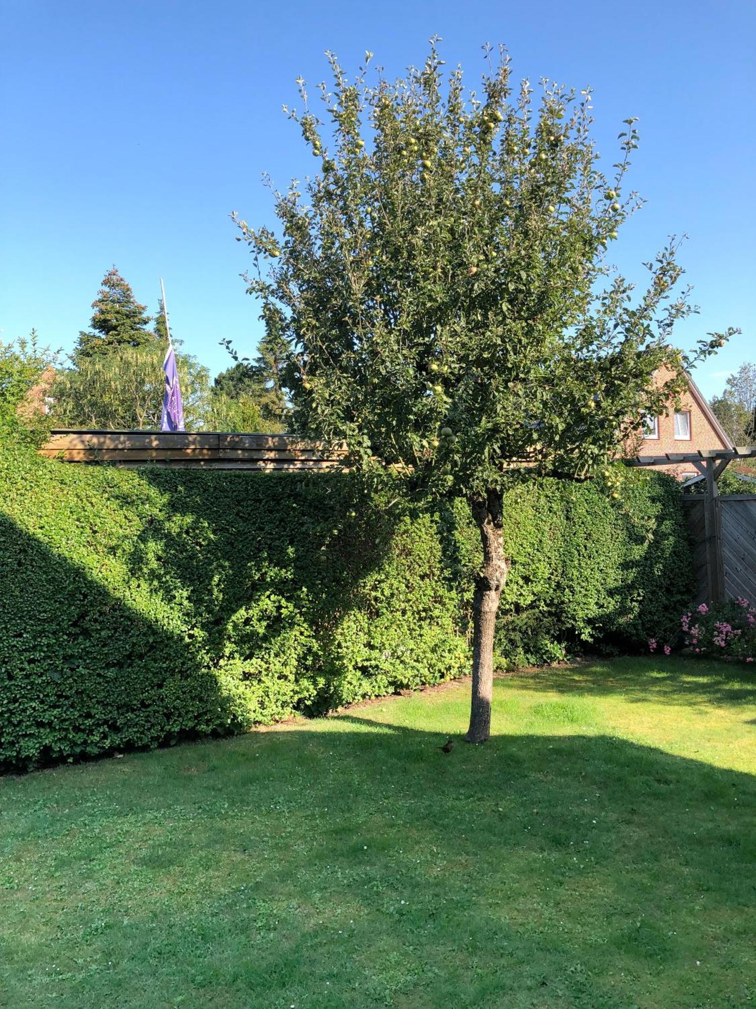 Pier 14 Villa Wyk auf Fohr Bagian luar foto